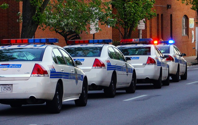Female cop who slept her way through Tennessee police department and walked away with half a million gets new job, thanks to government